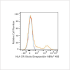 Biotin Rabbit anti-Human HLA-DR mAb (100 T)