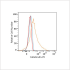 PE Rabbit anti-Human Calreticulin mAb (100 T)