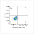ABflo® 488 Rabbit anti-Human Calreticulin mAb (100 T)