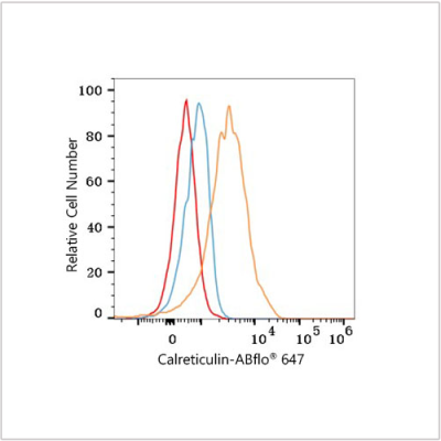 ABflo® 647 Rabbit anti-Human Calreticulin mAb (100 T)