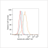 ABflo® 647 Rabbit anti-Human Calreticulin mAb (100 T)