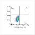 ABflo® 450 Rabbit anti-Human CD90/Thy1 mAb (100 T)