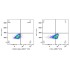 ABflo® 450 Rabbit IgG Isotype Control (100 T)