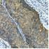 KO-Validated Integrin alpha 2 (ITGA2/CD49b) Rabbit pAb (20 μl)
