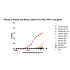 HRP Rabbit Anti-Mouse IgG2b (Fc) mAb (100 μl)