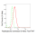 KD-Validated PPIB Rabbit mAb (20 μl)