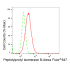 KD-Validated PPIB Rabbit mAb (20 μl)