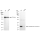 KD-Validated PPIB Rabbit mAb (20 μl)