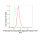 KD-Validated PARK7 Rabbit mAb (20 μl)