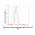 KD-Validated PARK7 Rabbit mAb (20 μl)