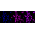 KD-Validated PARK7 Rabbit mAb (20 μl)