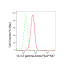 KD-Validated YWHAG Rabbit mAb (20 μl)