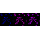 KD-Validated YWHAG Rabbit mAb (20 μl)