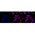 KD-Validated YWHAG Rabbit mAb (20 μl)