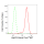 KD-Validated Hsp22 Rabbit mAb (20 μl)