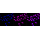 KD-Validated Hsp22 Rabbit mAb (20 μl)