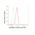 KD-Validated EIF4EBP1 Rabbit mAb (20 μl)