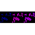 KD-Validated EIF4EBP1 Rabbit mAb (20 μl)
