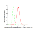 KD-Validated DIAPH1 Rabbit mAb (20 μl)