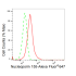 KD-Validated NUP155 Rabbit mAb (20 μl)