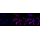 KD-Validated NUP155 Rabbit mAb (20 μl)