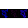 KD-Validated IQGAP2 Rabbit mAb (20 μl)