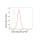 KD-Validated Bcl10 Rabbit mAb (20 μl)