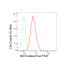 KD-Validated Bcl10 Rabbit mAb (20 μl)