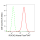 KD-Validated ROCK2 Rabbit mAb (20 μl)
