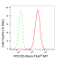 KD-Validated ROCK2 Rabbit mAb (20 μl)