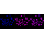 KD-Validated HDAC9 Rabbit mAb (20 μl)