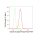 KD-Validated INSR Rabbit mAb (20 μl)
