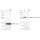 KD-Validated INSR Rabbit mAb (20 μl)