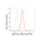 KD-Validated PRKDC Rabbit mAb (20 μl)