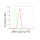 KD-Validated MERTK Rabbit mAb (20 μl)