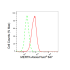 KD-Validated MERTK Rabbit mAb (20 μl)