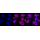 KD-Validated MERTK Rabbit mAb (20 μl)