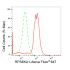 KD-Validated RPS6KA1 Rabbit mAb (20 μl)