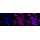 KD-Validated RPS6KA1 Rabbit mAb (20 μl)