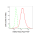 KD-Validated NEK2 Rabbit mAb (20 μl)