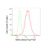 KD-Validated NEK2 Rabbit mAb (20 μl)