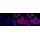 KD-Validated NEK2 Rabbit mAb (20 μl)