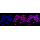 KD-Validated HAT1 Rabbit mAb (20 μl)