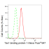 KD-Validated TAX1BP1 Rabbit mAb (20 μl)