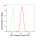 KD-Validated IDH1 Rabbit mAb (20 μl)