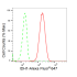 KD-Validated IDH1 Rabbit mAb (20 μl)