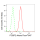 KD-Validated PCBP2 Rabbit mAb (20 μl)
