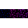 KD-Validated PCBP2 Rabbit mAb (20 μl)