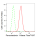 KD-Validated PRDX1 Rabbit mAb (20 μl)