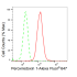 KD-Validated PRDX1 Rabbit mAb (20 μl)